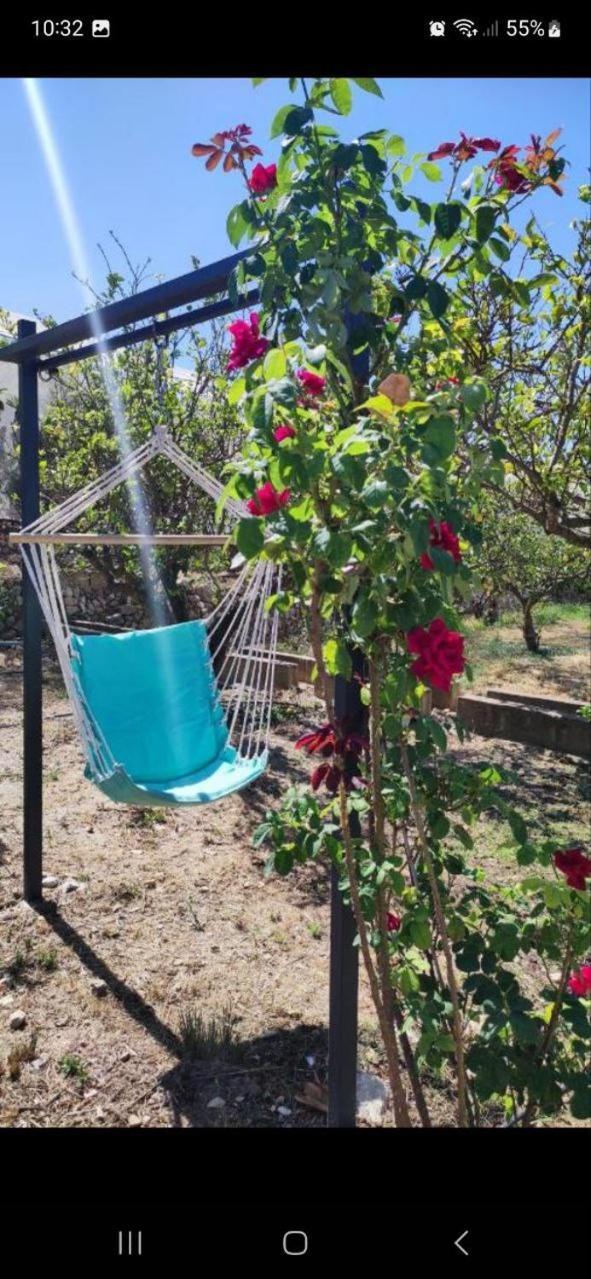 Finca Barahona Casa Barahona Casa Bahoruco, Casa Bohechio Алтеа Номер фото